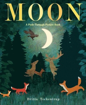 bokomslag Moon: A Peek-Through Picture Book