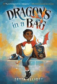 bokomslag Dragons in a Bag