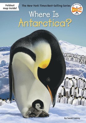 bokomslag Where Is Antarctica?