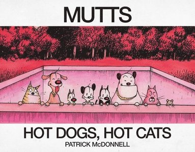 bokomslag Hot Dogs, Hot Cats: A Mutts Treasury