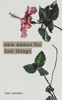 bokomslag New Names for Lost Things