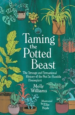 Taming the Potted Beast