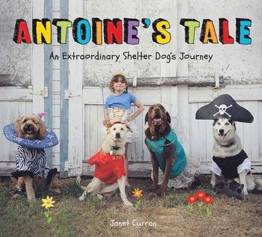 bokomslag Antoine's Tale