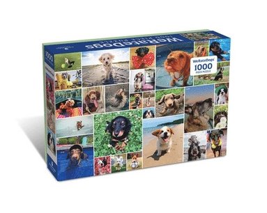 bokomslag Weratedogs 1000 Piece Jigsaw Puzzle: They're All Good Dogs