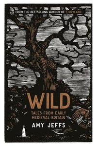 bokomslag Wild: Tales from Early Medieval Britain