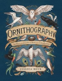 bokomslag Ornithography: Volume 2