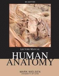 bokomslag Human Anatomy