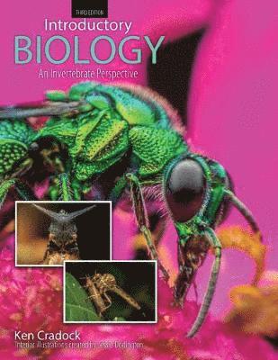 bokomslag Introductory Biology: An Invertebrate Perspective