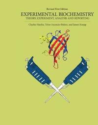 bokomslag Experimental Biochemistry: Theory, Experiment, Analysis and Reporting