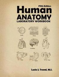 bokomslag Human Anatomy Laboratory Workbook