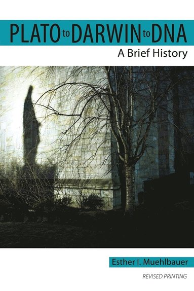 bokomslag Plato to Darwin to DNA: A Brief History