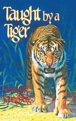 KH Pathways, KH Pathways, - Grade 7 taught by a Tiger TBK, Inbunden