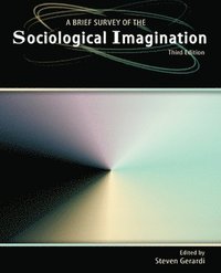 bokomslag A Brief Survey of the Sociological Imagination