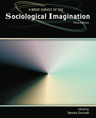 bokomslag Brief Survey of the Sociological Imagination