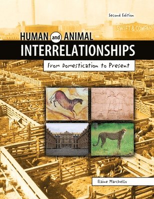 bokomslag Human and Animal Interrelationships: From Domestication to Present