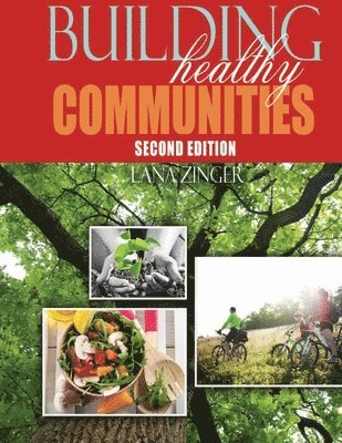 bokomslag Building Healthy Communities