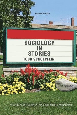 Sociology in Stories: A Creative Introduction to a Fascinating Perspective 1