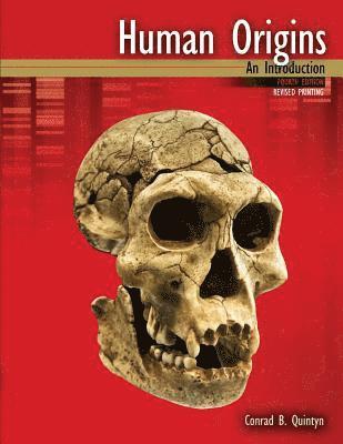 bokomslag Human Origins
