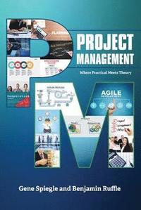 bokomslag Project Management: Where Practical Meets Theory