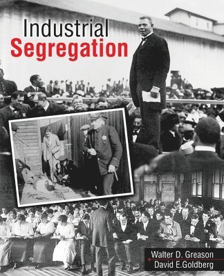 Walter Greason, David Goldberg, Greason-Goldberg, - Industrial Segregation, Häftad