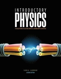 bokomslag Introductory Physics