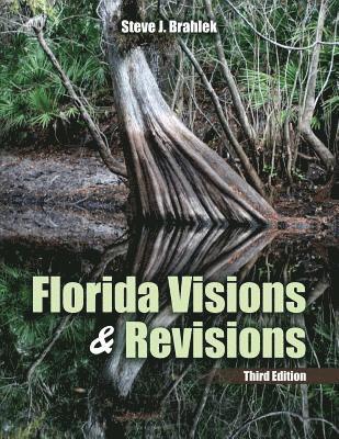 bokomslag Florida Visions and Revisions