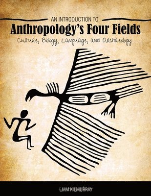 bokomslag Introduction to Anthropology's Four Fields: Culture, Biology, Language, and Archaeology