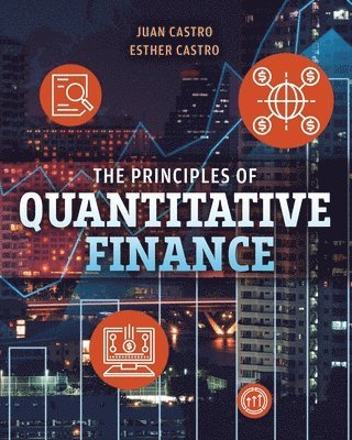 bokomslag Principles of Quantitative Finance