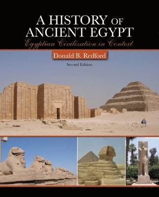 Donald B. Redford - History of Ancient Egypt: Egyptian Civilization in Context, Häftad