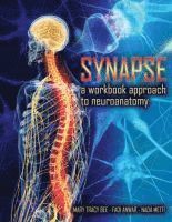 Mary Tracy Bee, Fadi Anwar, Nada Metti - Synapse: A Workbook Approach to Neuroanatomy, Häftad