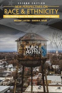 bokomslag New Perspectives on Race and Ethnicity: Critical Readings about the Black Experience in Trump's America