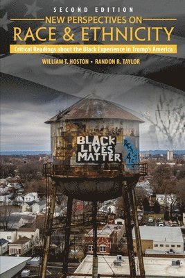 bokomslag New Perspectives on Race and Ethnicity: Critical Readings about the Black Experience in Trump's America