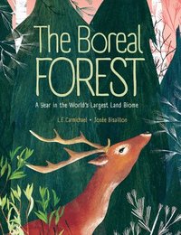 bokomslag The Boreal Forest