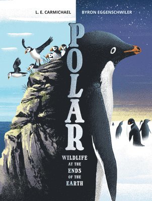 Polar 1