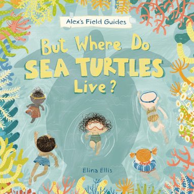 Elina Ellis - But Where Do Sea Turtles Live?, Inbunden