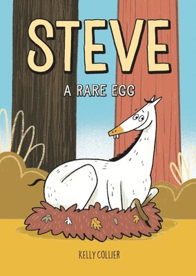 Steve, a Rare Egg 1