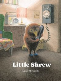bokomslag Little Shrew