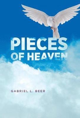 Gabriel L Beer, Gabriel L. Beer, Stephanie Gonnet - Pieces of Heaven, Inbunden