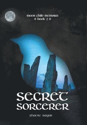 Secret Sorcerer 1