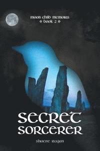 bokomslag Secret Sorcerer