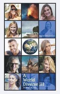 bokomslag World Diverse III