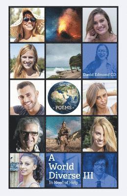 bokomslag World Diverse III