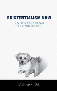 bokomslag Existentialism Now
