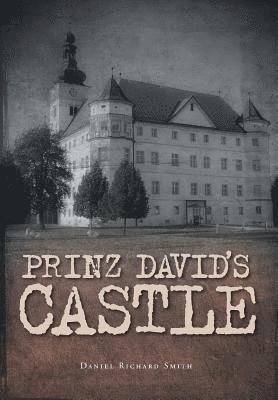 Prinz David's Castle 1