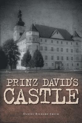 Prinz David's Castle 1