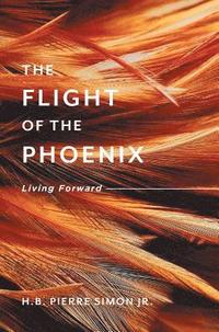 bokomslag The Flight Of The Phoenix