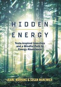 bokomslag Hidden Energy