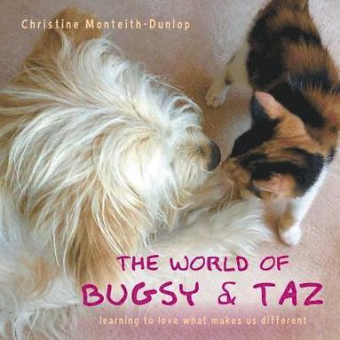 bokomslag World of Bugsy & Taz