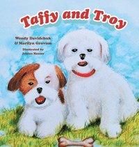 bokomslag Taffy and Troy