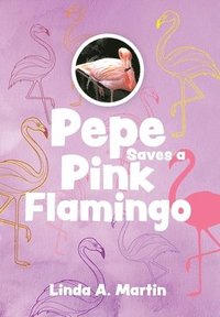 bokomslag Pepe Saves a Pink Flamingo